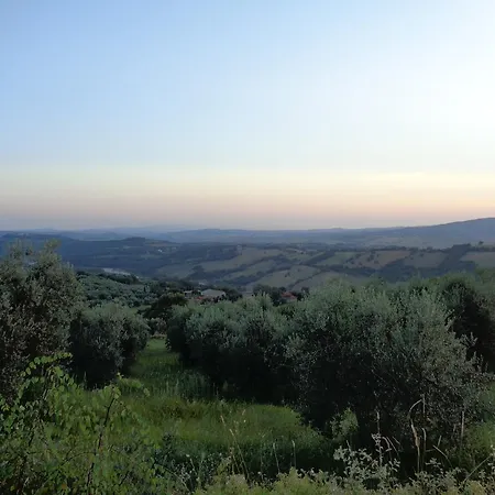 Panoramic Cottage With Shared Pool Holiday home Roccalbegna